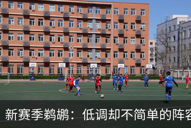 新赛季鹈鹕：低调却不简单的阵容